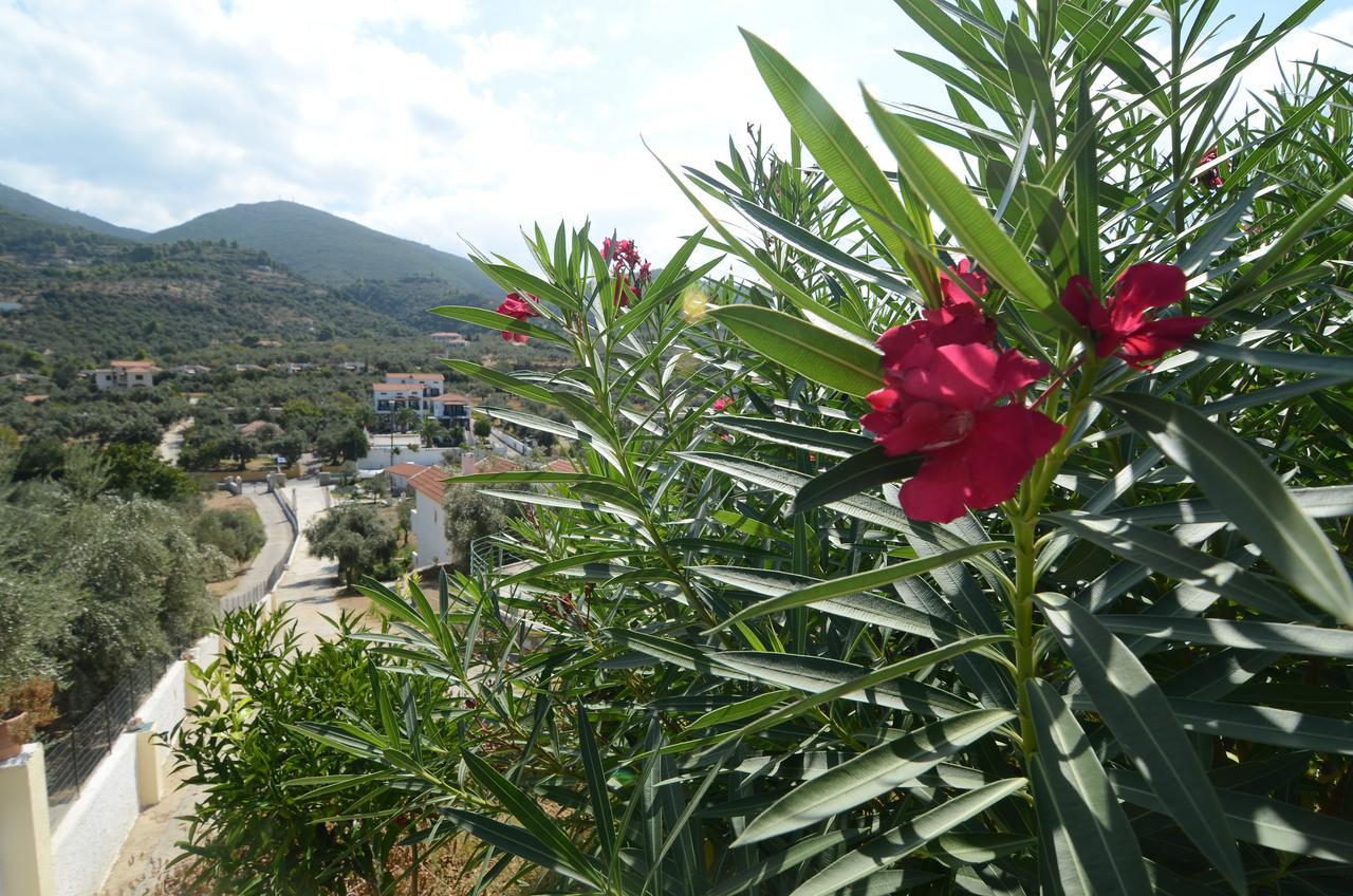 Liofoto Apartment Skopelos Town Exterior photo