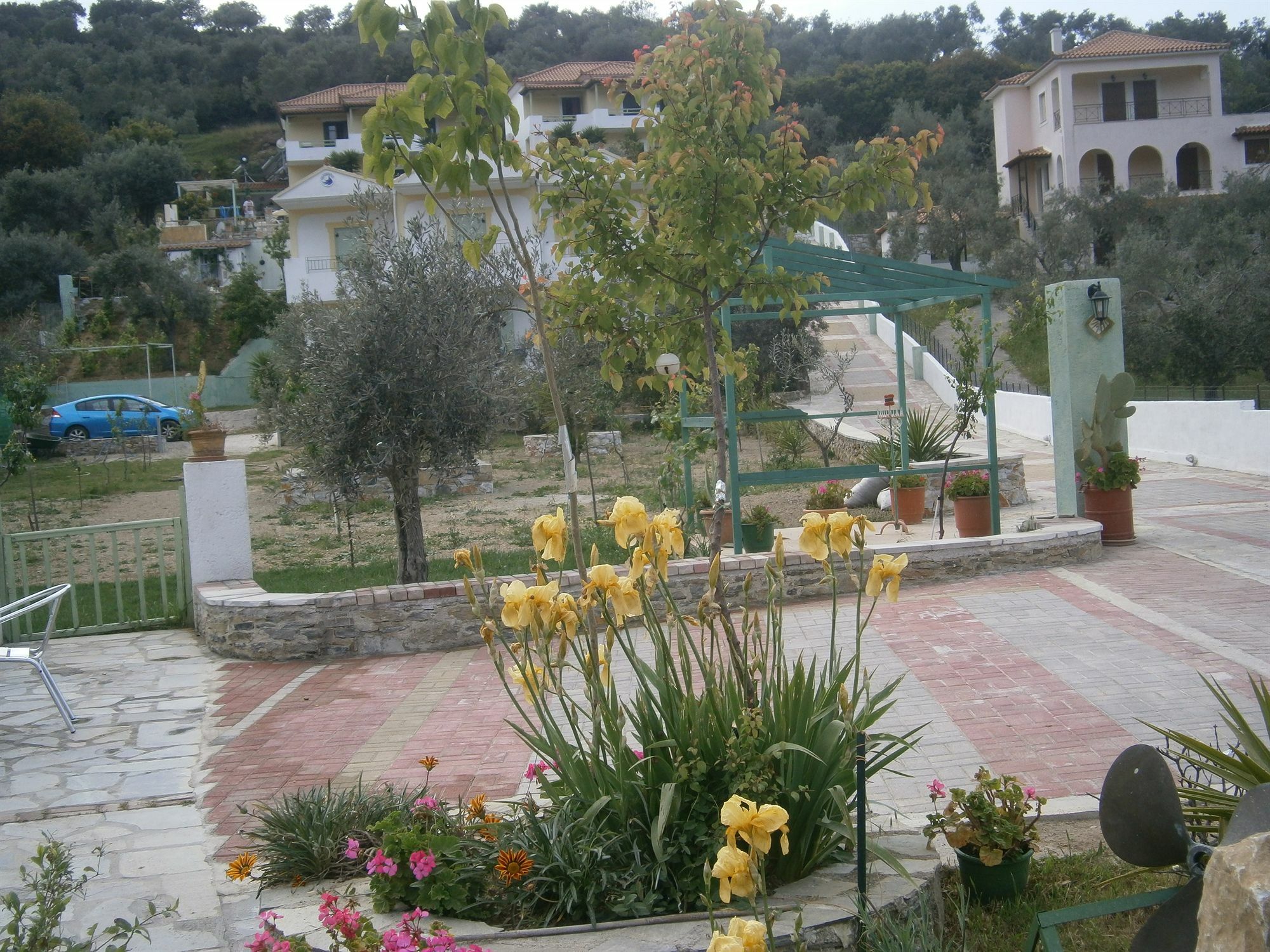 Liofoto Apartment Skopelos Town Exterior photo