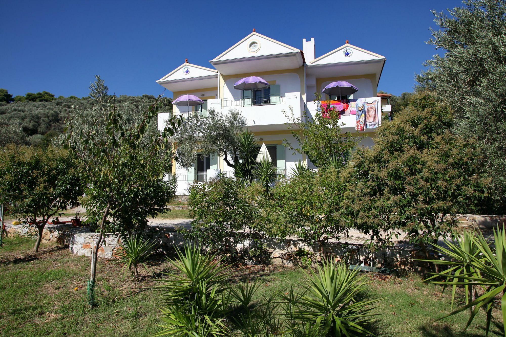 Liofoto Apartment Skopelos Town Exterior photo