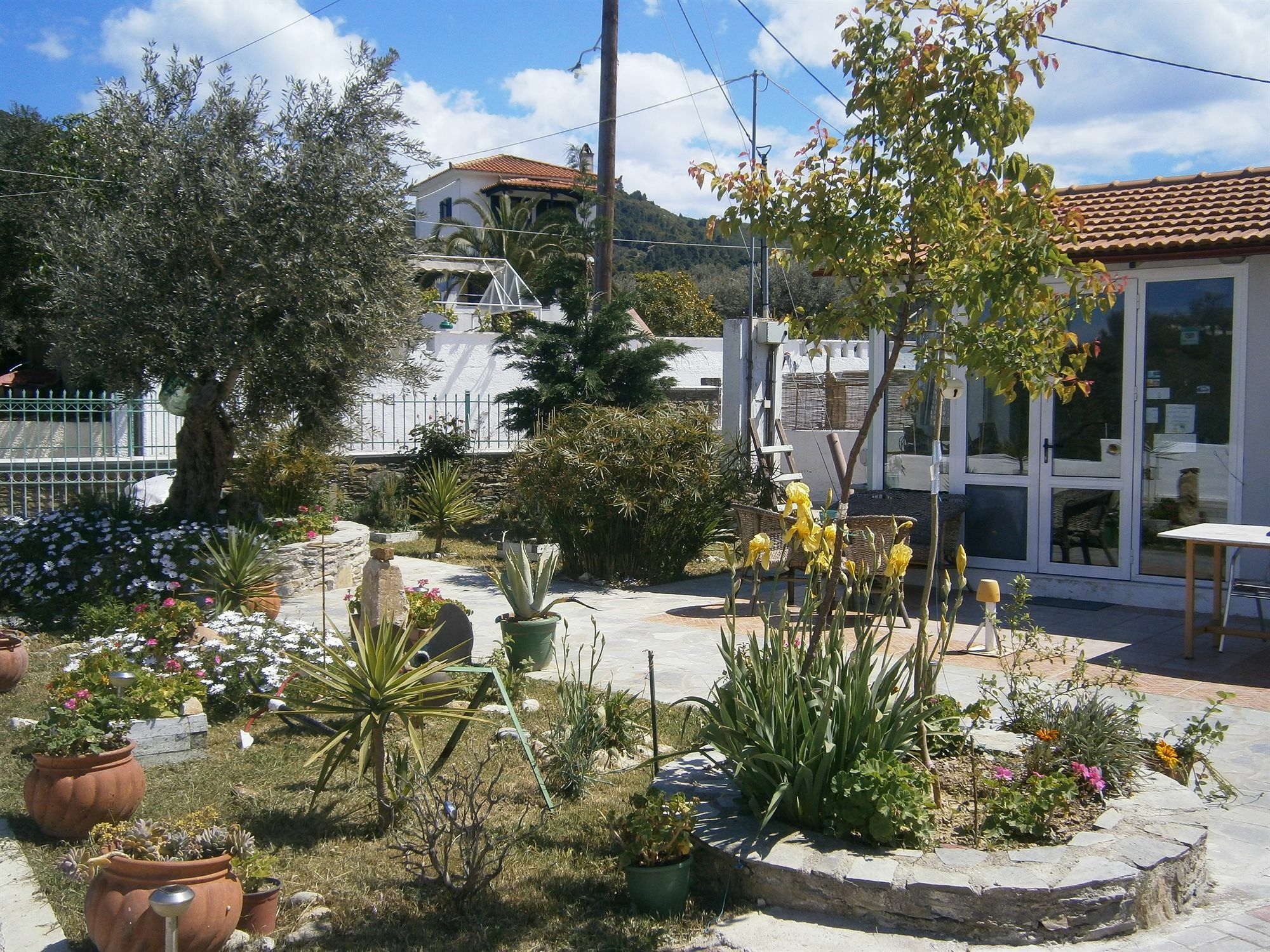 Liofoto Apartment Skopelos Town Exterior photo